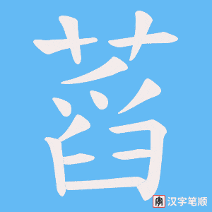 蓞笔顺动图