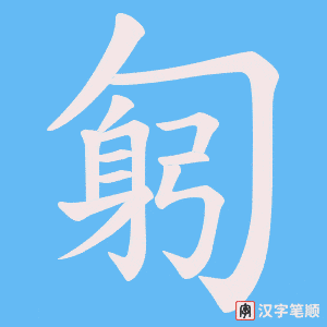 匑笔顺动图