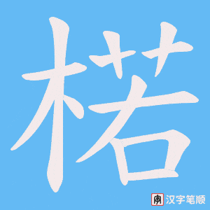 楉笔顺动图