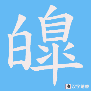 皥笔顺动图