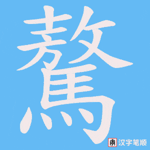 驁笔顺动图