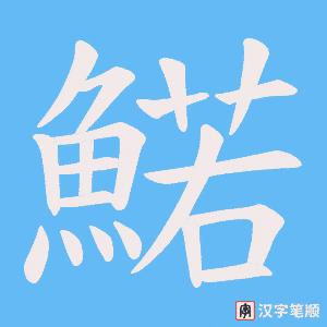 鰙笔顺动图