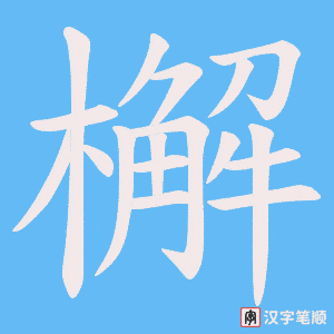 檞笔顺动图