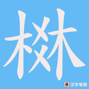 棥笔顺动图
