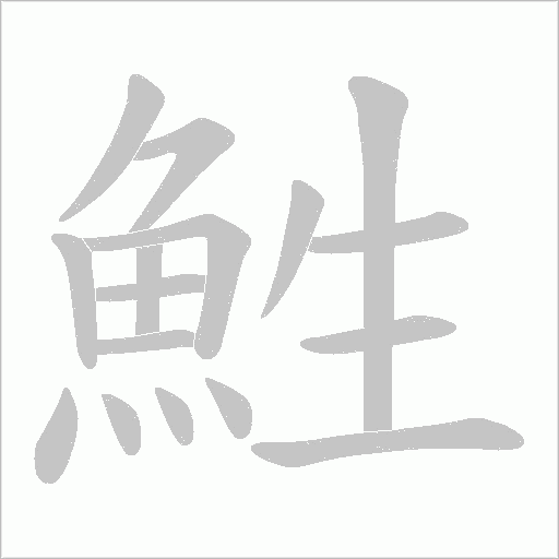鮏笔顺动图