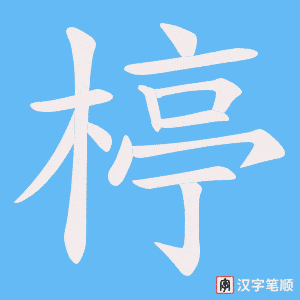 楟笔顺动图