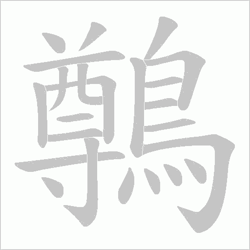 鷷笔顺动图