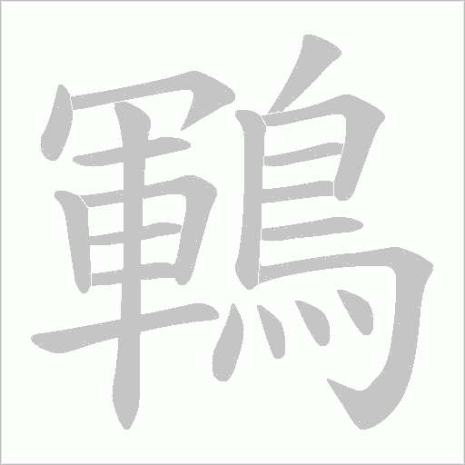 鶤笔顺动图