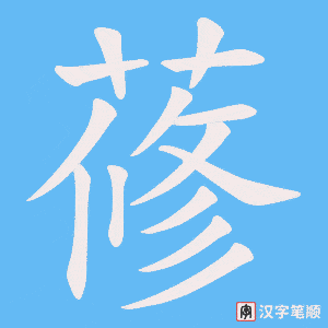 蓚笔顺动图