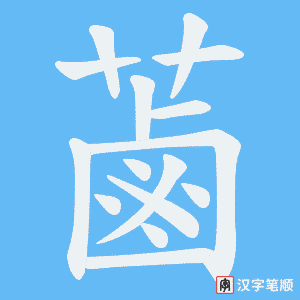 蓾笔顺动图