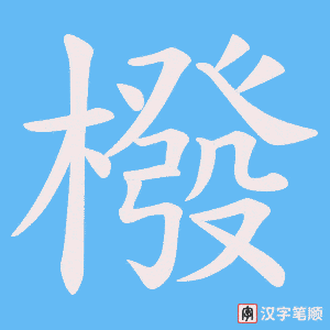 橃笔顺动图