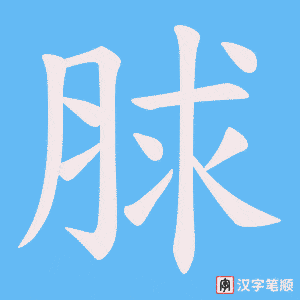 脙笔顺动图