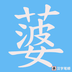 蔢笔顺动图