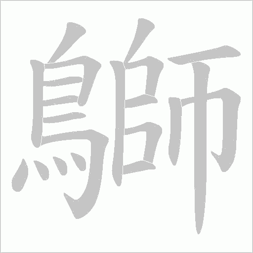 鶳笔顺动图