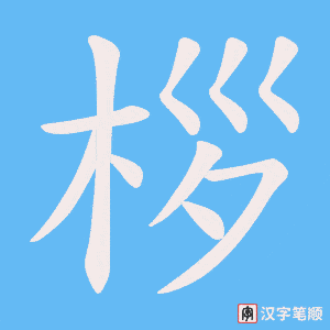 桚笔顺动图