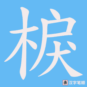 棙笔顺动图