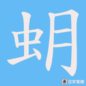 蚏笔顺动图