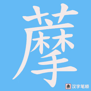 藦笔顺动图