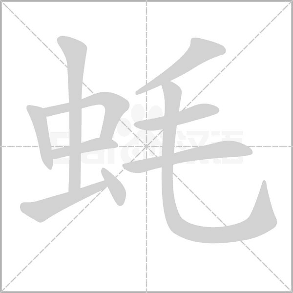 蚝笔顺动图