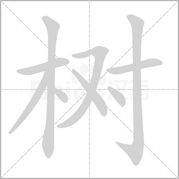 树笔顺动图
