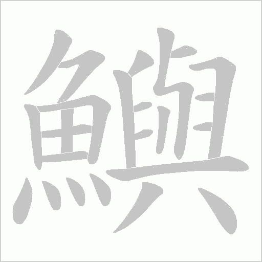 鱮笔顺动图