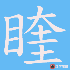 睳笔顺动图