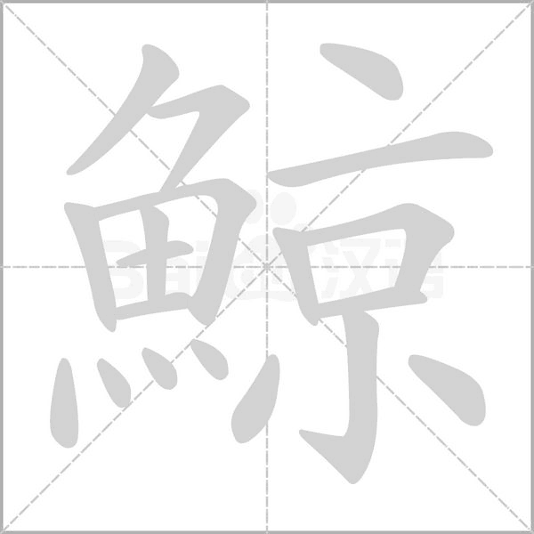 鯨笔顺动图