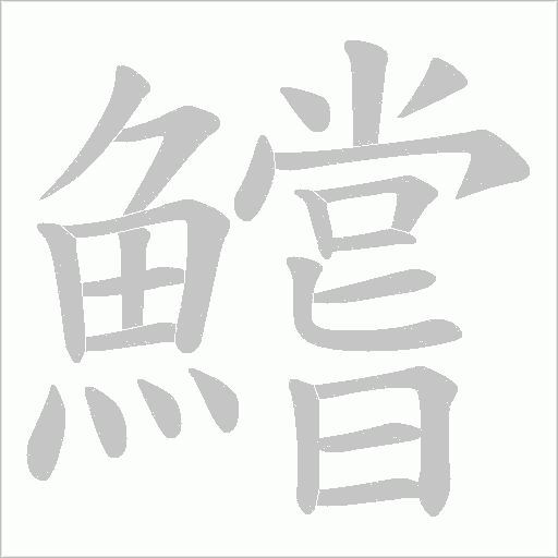 鱨笔顺动图