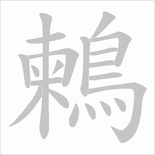 鶫笔顺动图