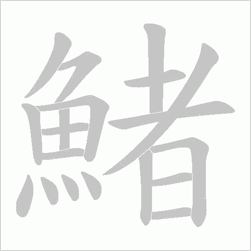 鯺笔顺动图
