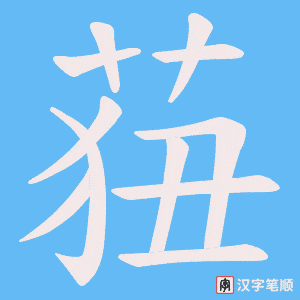 莥笔顺动图