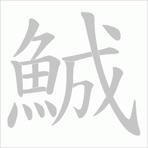 鯎笔顺动图