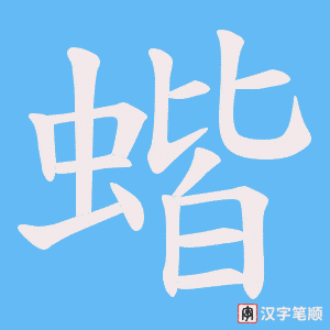 蝔笔顺动图