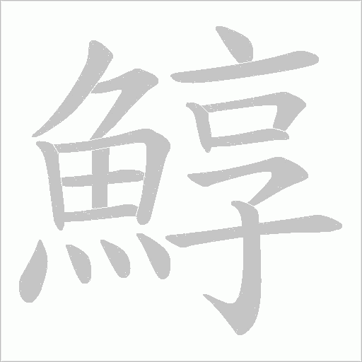 鯙笔顺动图
