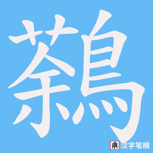 鷋笔顺动图