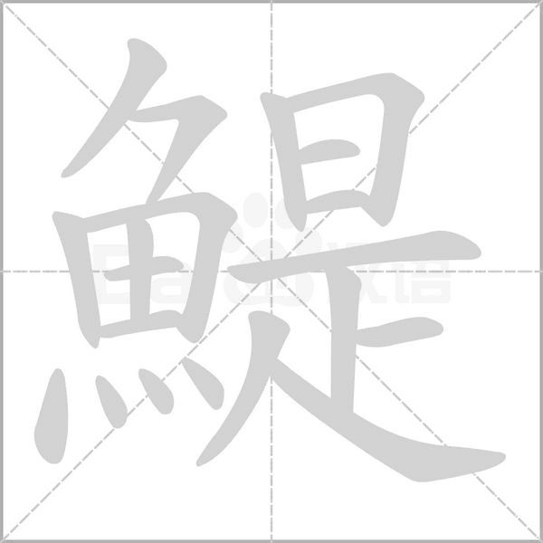 鯷笔顺动图