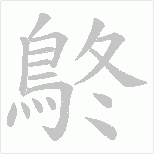 鴤笔顺动图