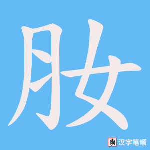 肗笔顺动图