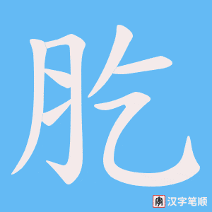 肐笔顺动图