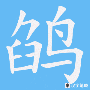 鹐笔顺动图