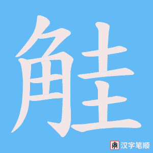 觟笔顺动图