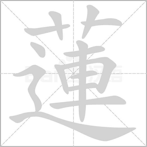 蓮笔顺动图