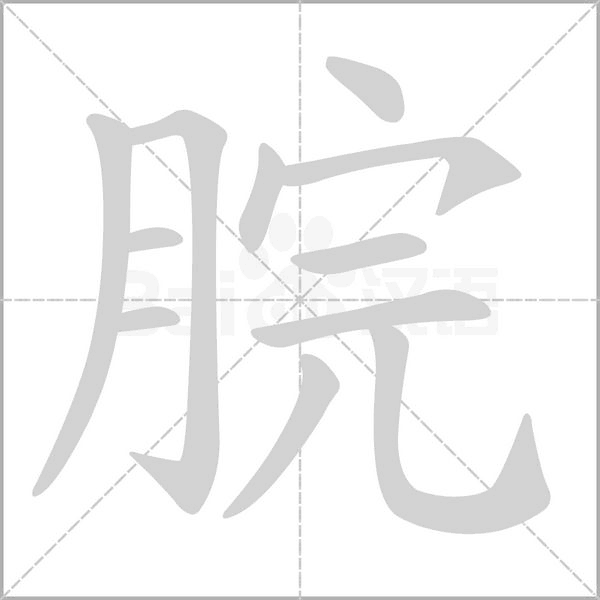脘笔顺动图