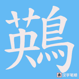 鶧笔顺动图