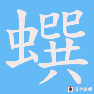 蟤笔顺动图