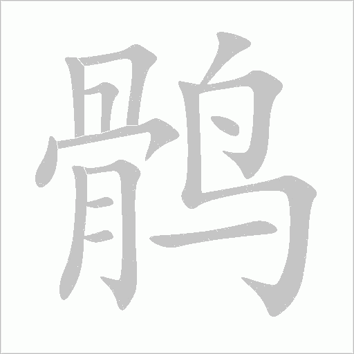 鹘笔顺动图