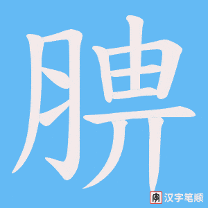 腗笔顺动图