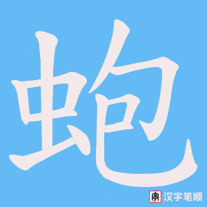 蚫笔顺动图