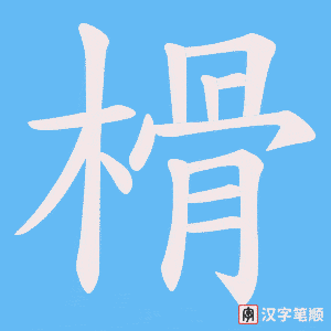 榾笔顺动图