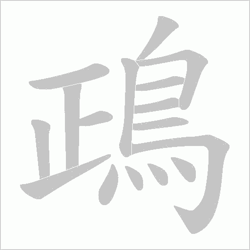 鴊笔顺动图